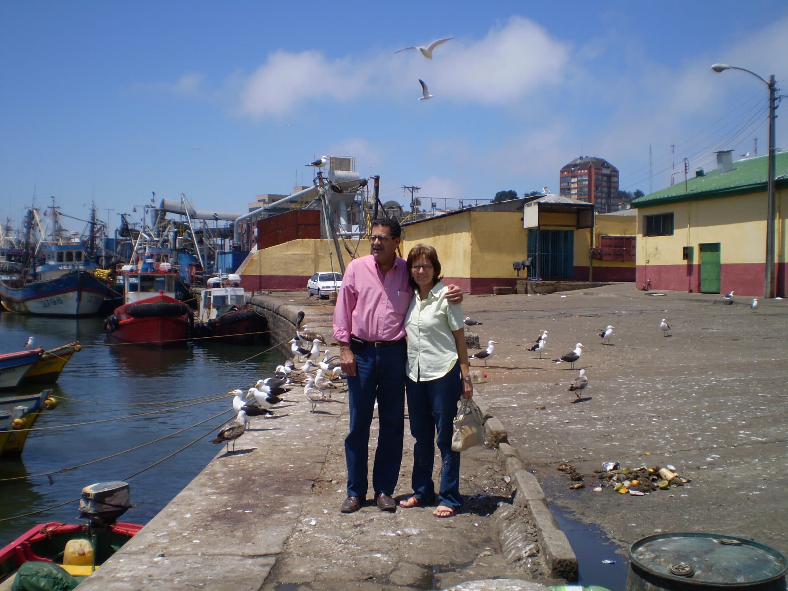 Hitos del año 2008